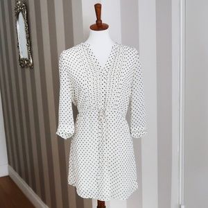 H&M Fit and Flare Pleated Polka Dot Dress